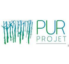 Pur_Projet